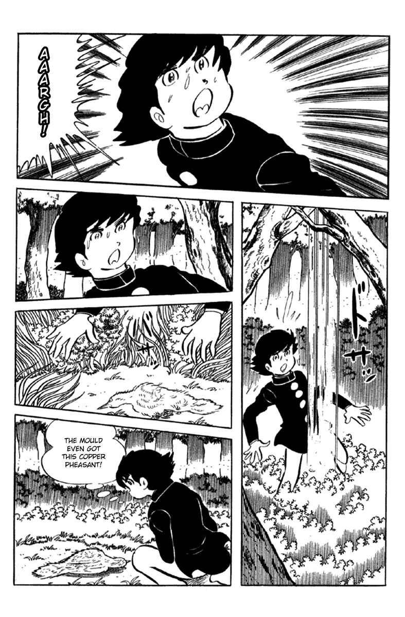 Page 257 Chapter 6 The Moon