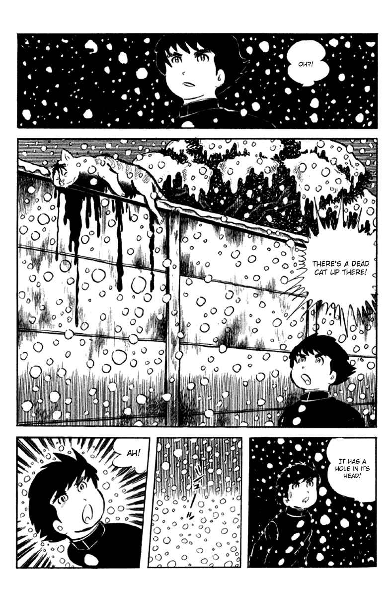 Page 13 Chapter 5 The Moon