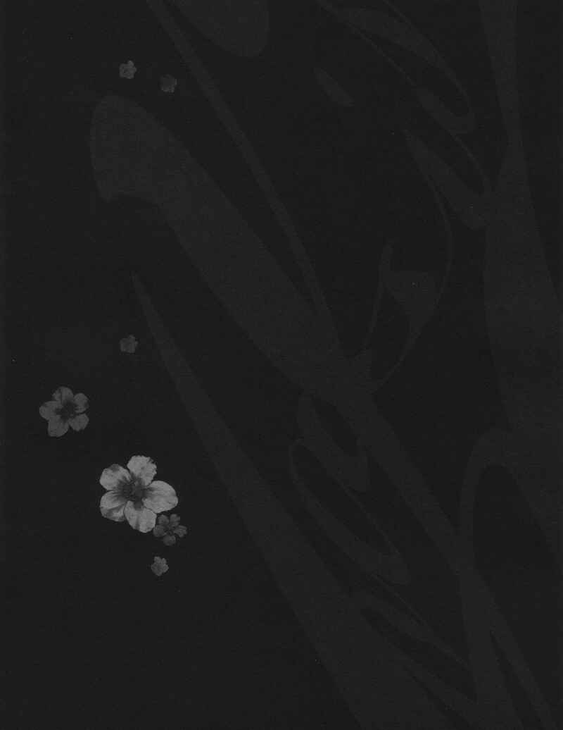 Page 35 Chapter Unknown_bf1e Code Geass - Oasis (Doujinshi)