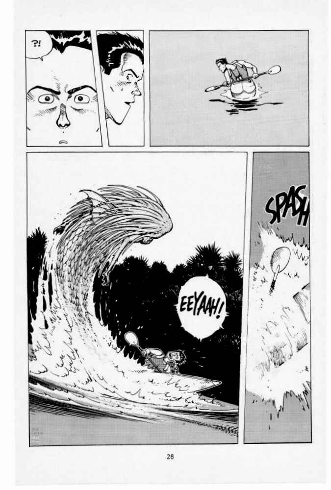 Page 29 Chapter 1 Version