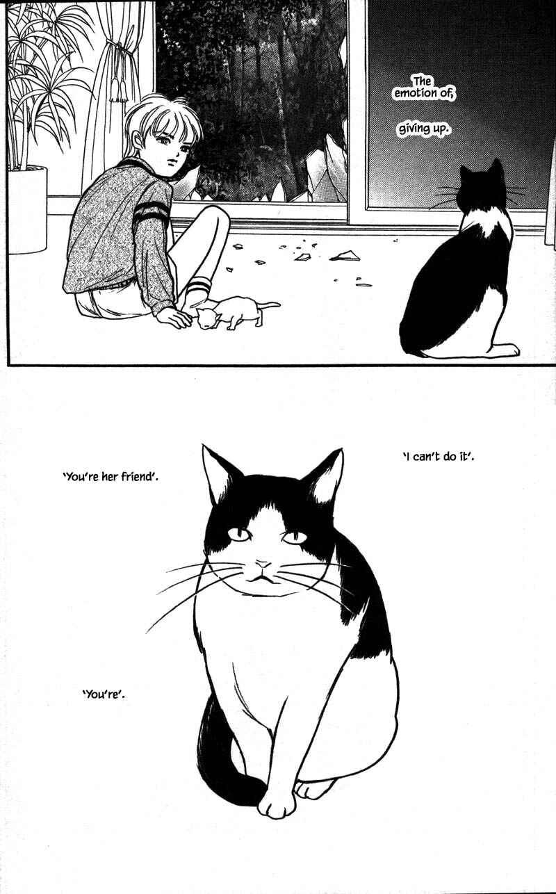 Page 13 Chapter 16.5 Shi to Kanojo to Boku Yukari