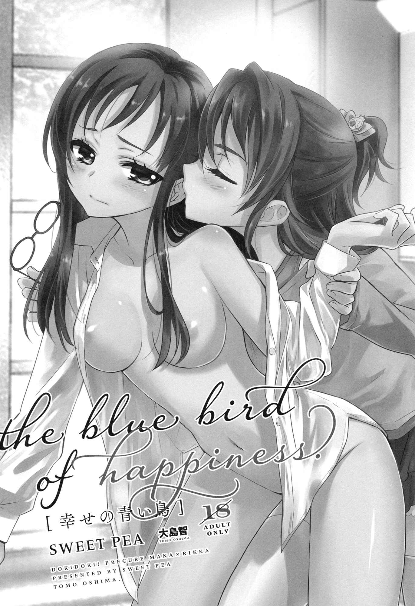 Page 2 Chapter Unknown_6718 Dokidoki! Precure - Shiawase no Aoi Tori (Doujinshi)