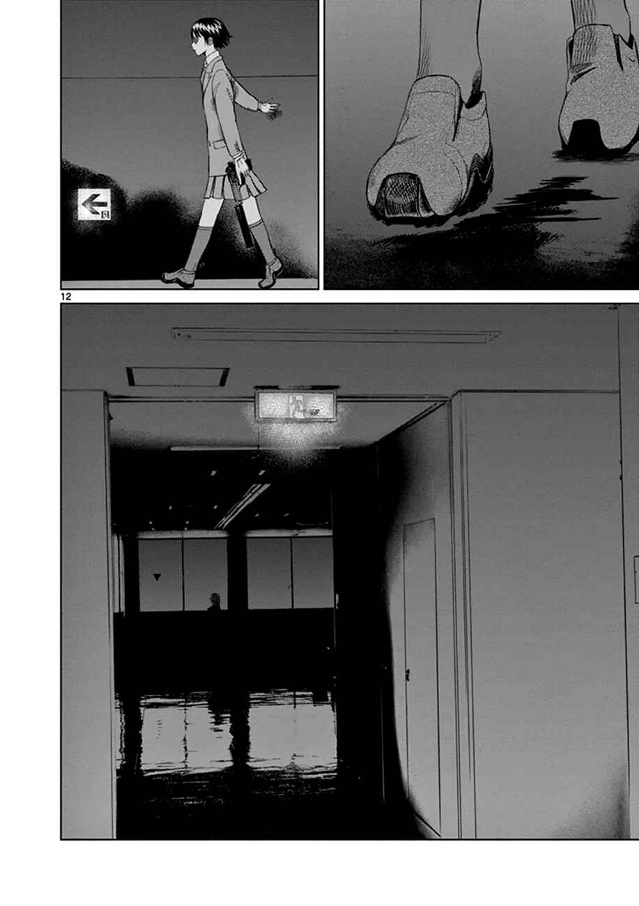 Page 12 Chapter 13 Destro 246