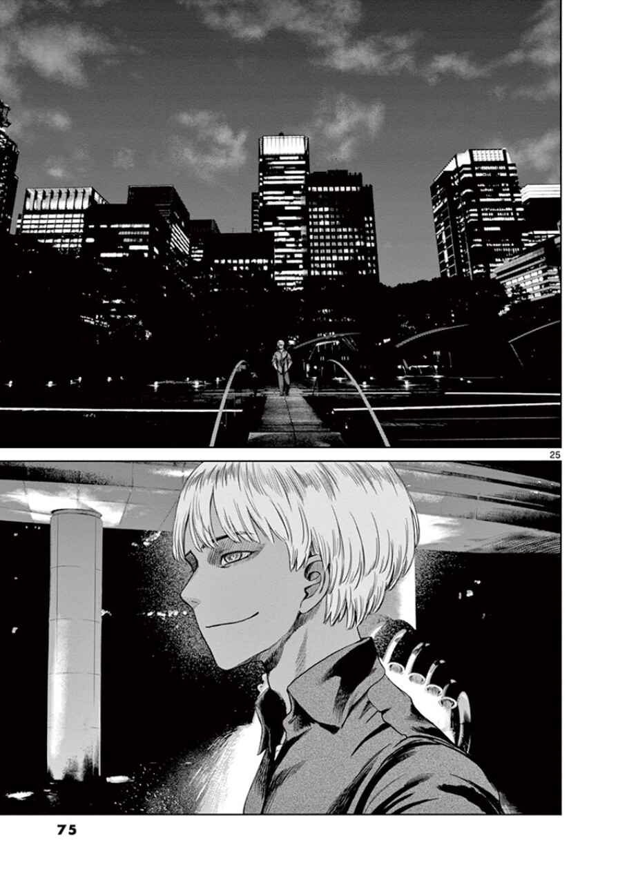 Page 26 Chapter 30 Destro 246