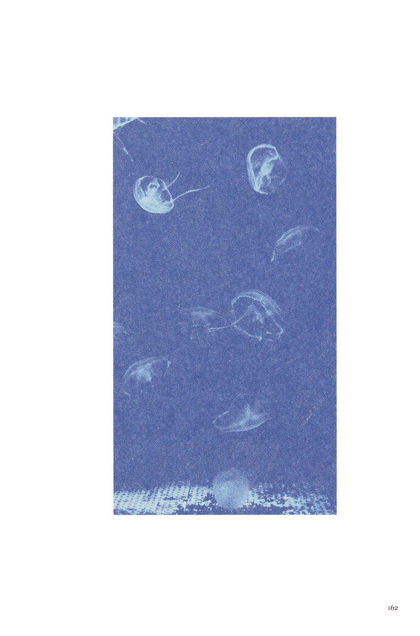 Page 10 Chapter 7 Feet Scraping Aquarium