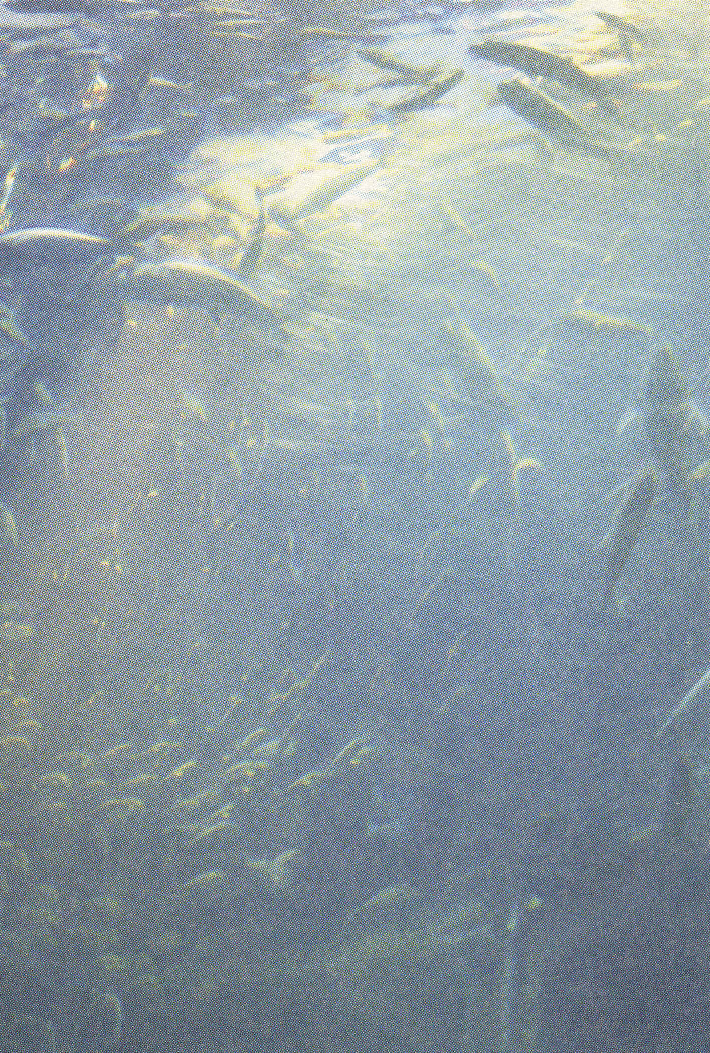 Page 9 Chapter 7 Feet Scraping Aquarium