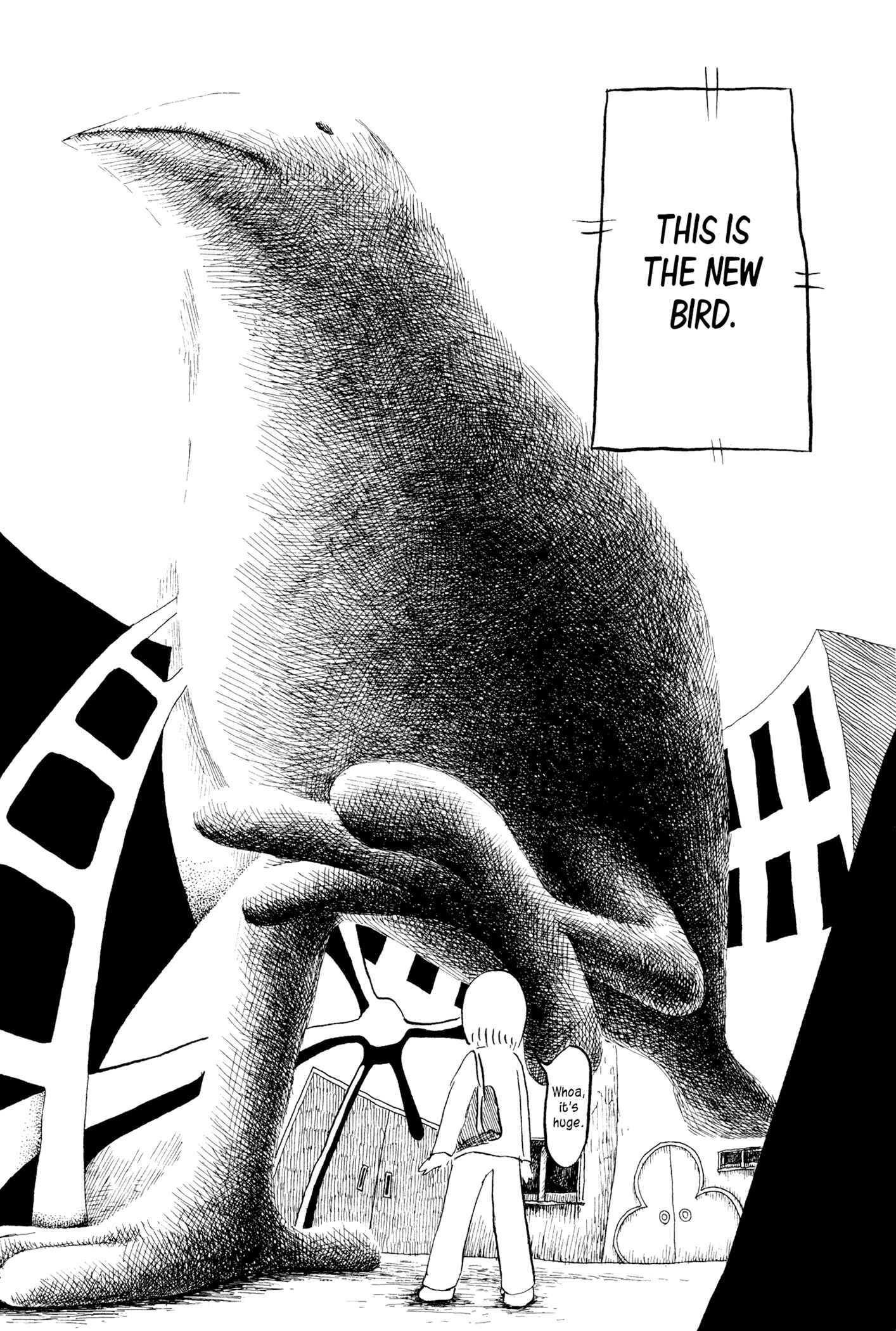 Page 14 Chapter 4 Feet Scraping Aquarium