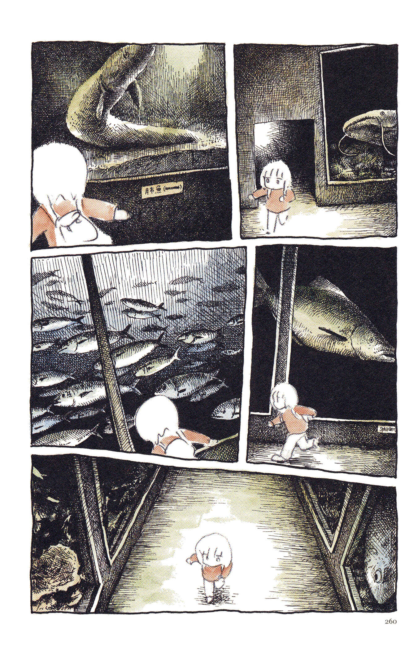 Page 1 Chapter 12 Feet Scraping Aquarium