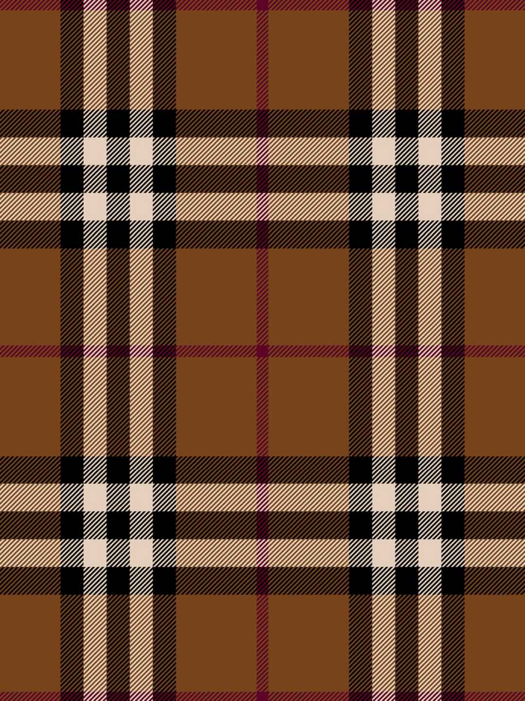 Page 2 Chapter Unknown_a706 Burberry x Blue Period.