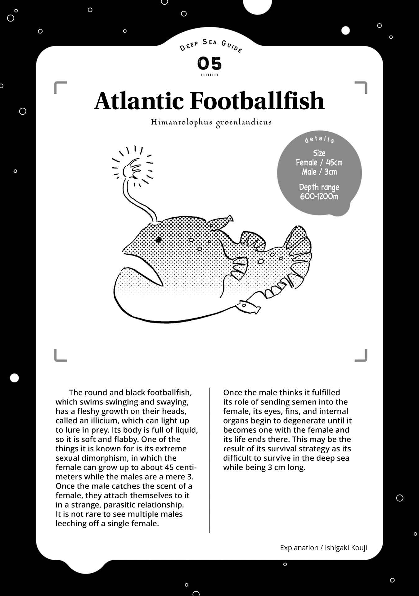 Page 31 Chapter 5 Magmell Shinkai Suizokukan
