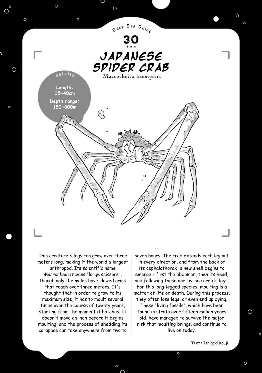 Page 32 Chapter 37 Magmell Shinkai Suizokukan