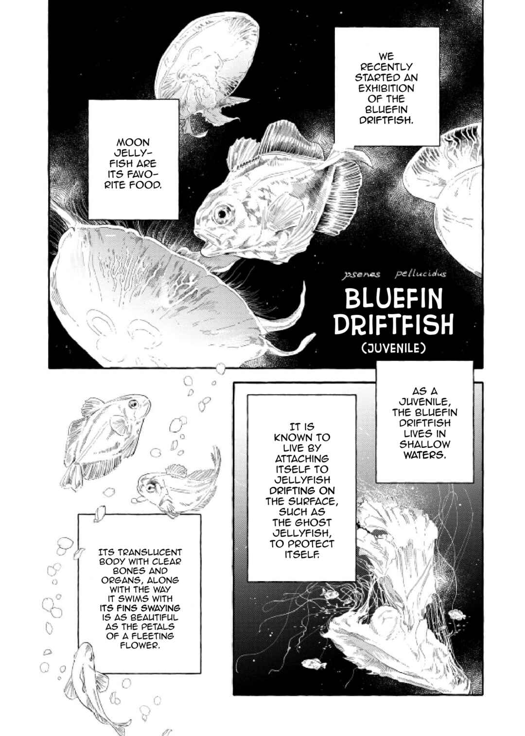 Page 19 Chapter 48 Magmell Shinkai Suizokukan