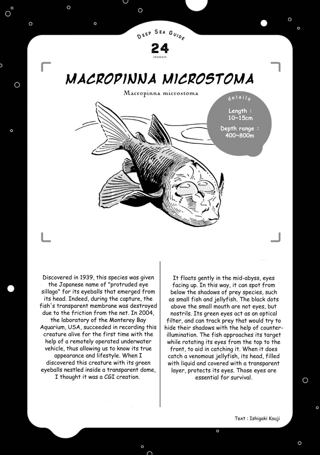 Page 37 Chapter 28 Magmell Shinkai Suizokukan