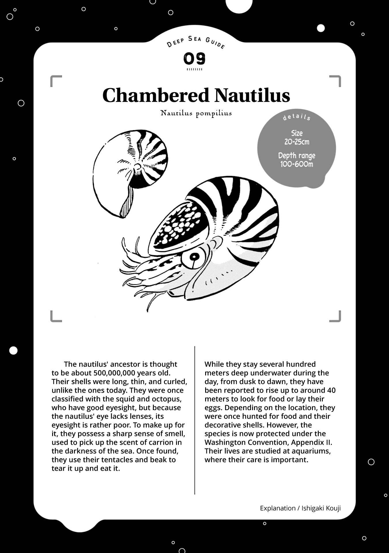 Page 34 Chapter 10 Magmell Shinkai Suizokukan