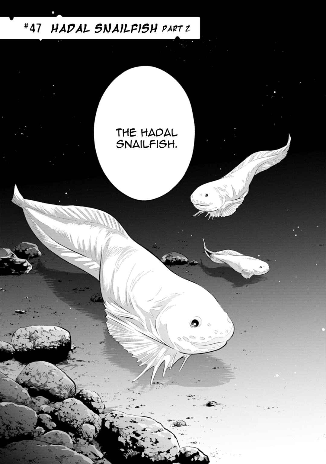 Page 3 Chapter 47 Magmell Shinkai Suizokukan