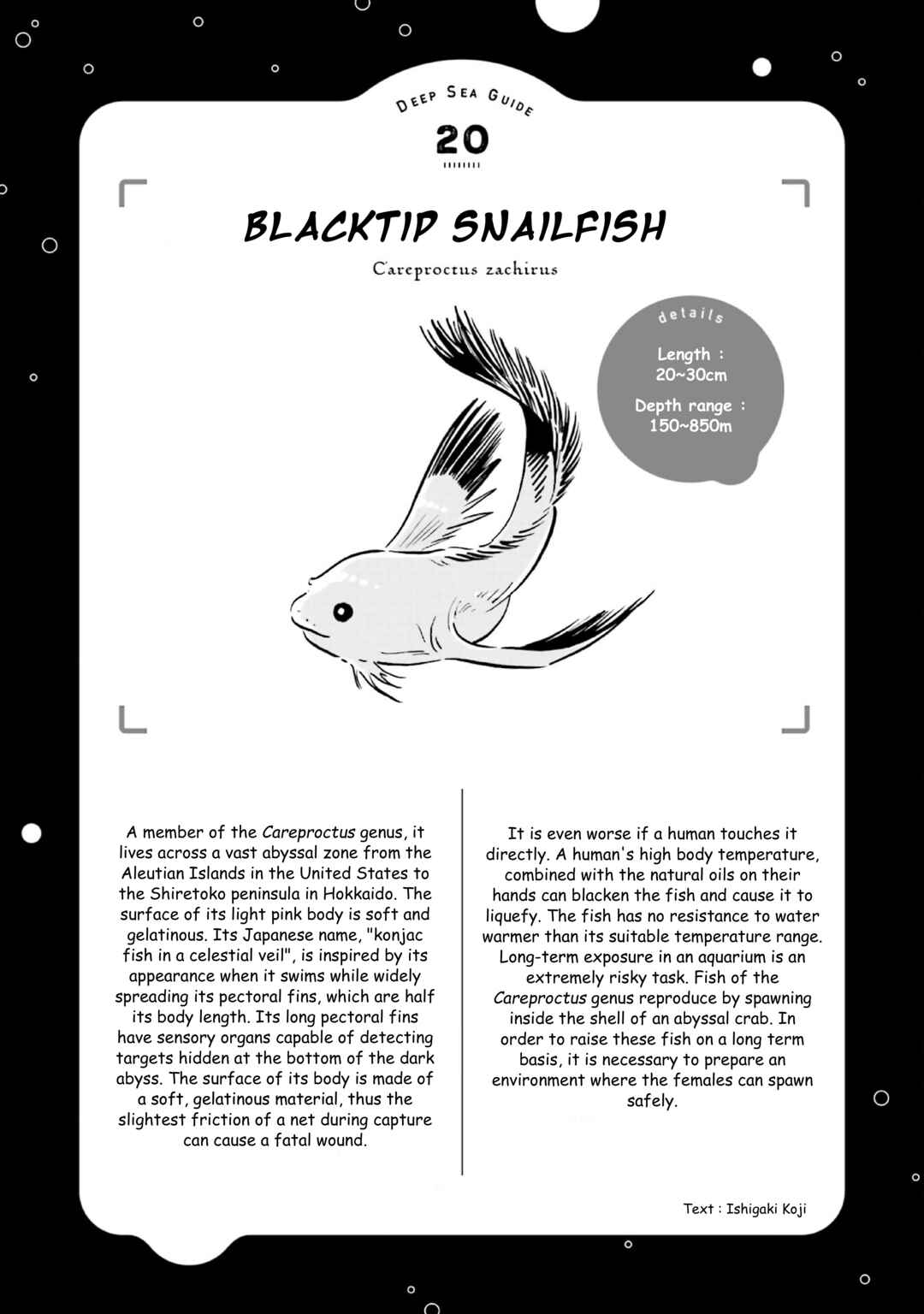 Page 35 Chapter 23 Magmell Shinkai Suizokukan