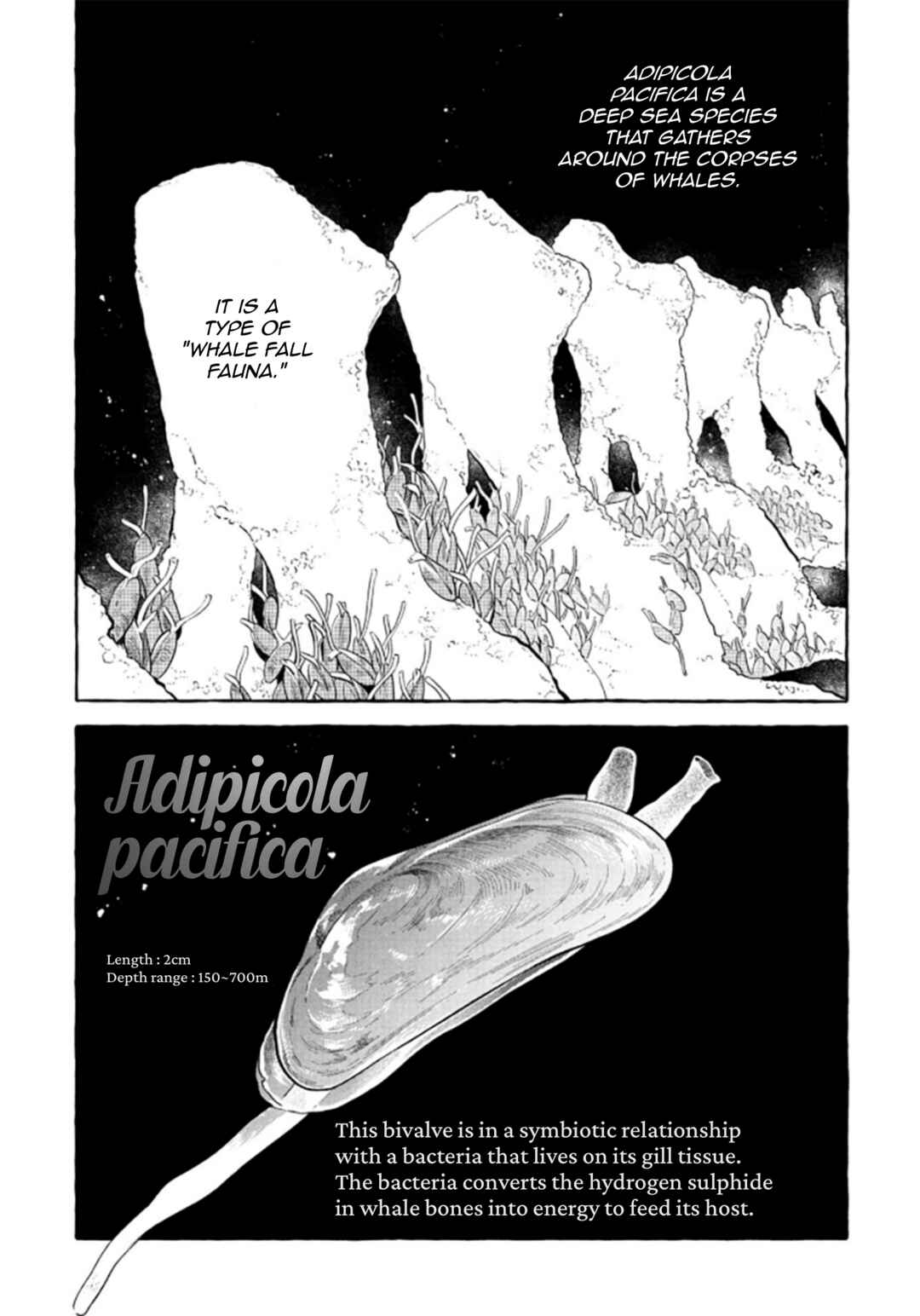 Page 37 Chapter 52 Magmell Shinkai Suizokukan