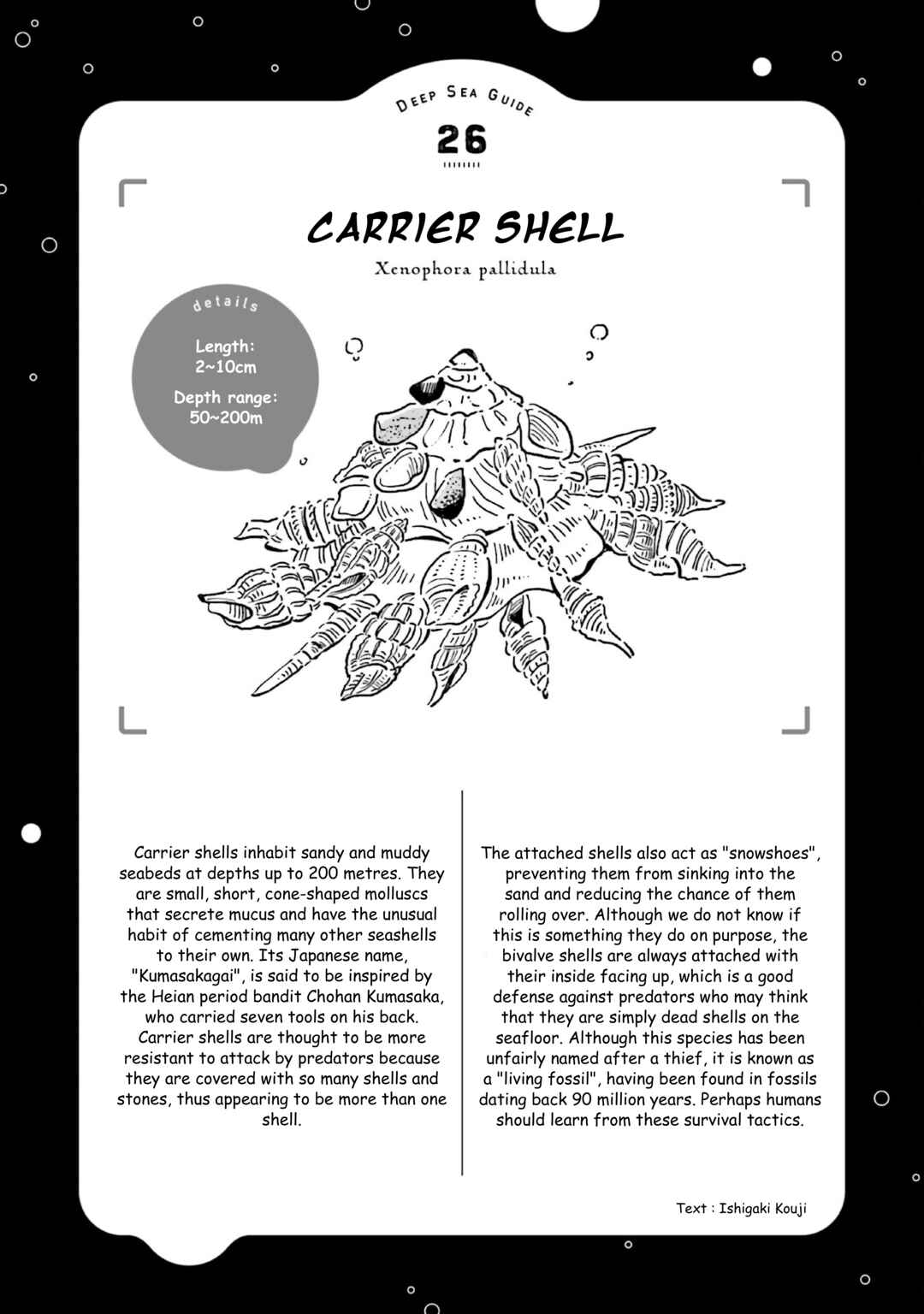 Page 31 Chapter 31 Magmell Shinkai Suizokukan
