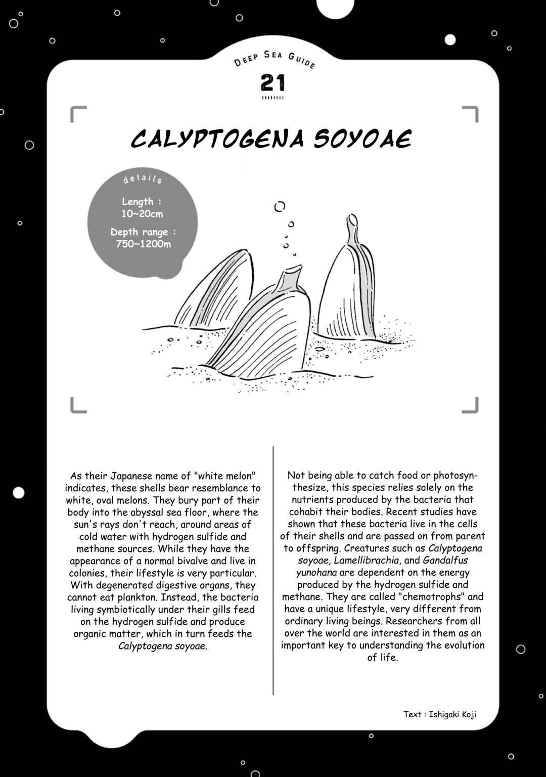 Page 39 Chapter 25 Magmell Shinkai Suizokukan