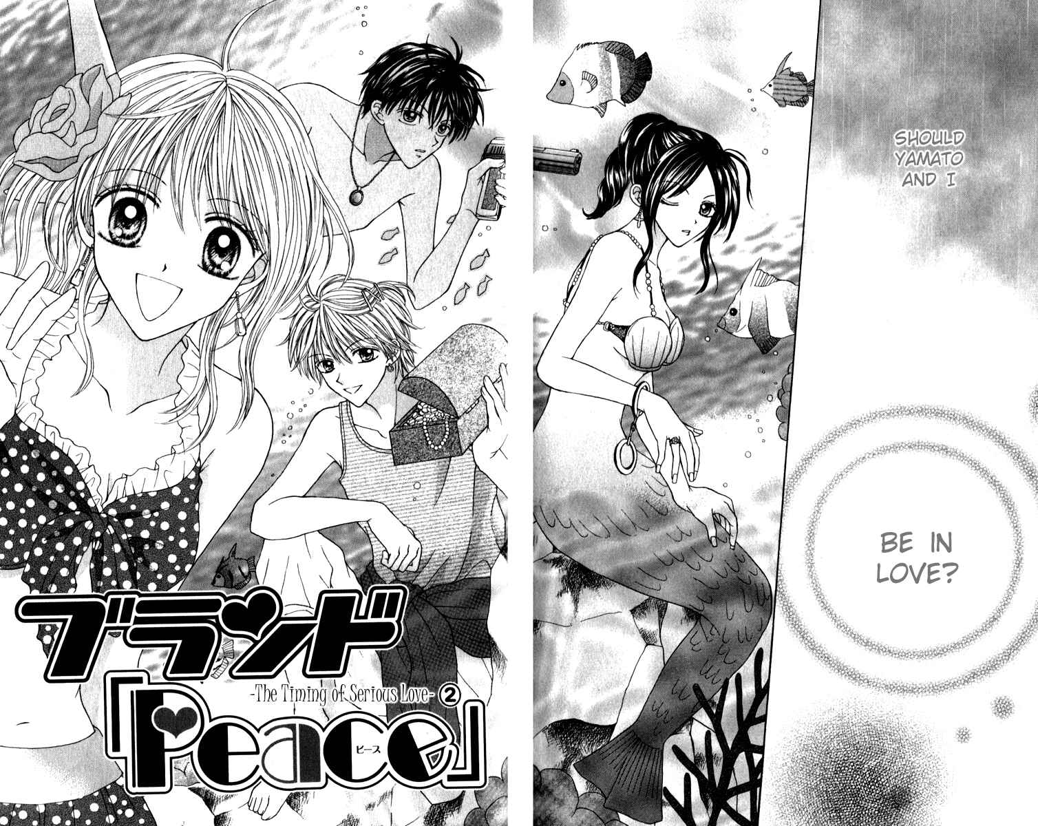 Page 4 Chapter 8 Brand Peace