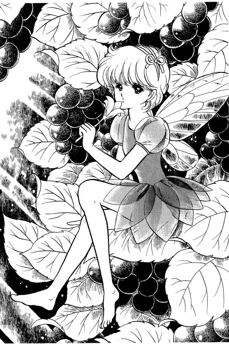 Page 35 Chapter 10 Alpine Rose