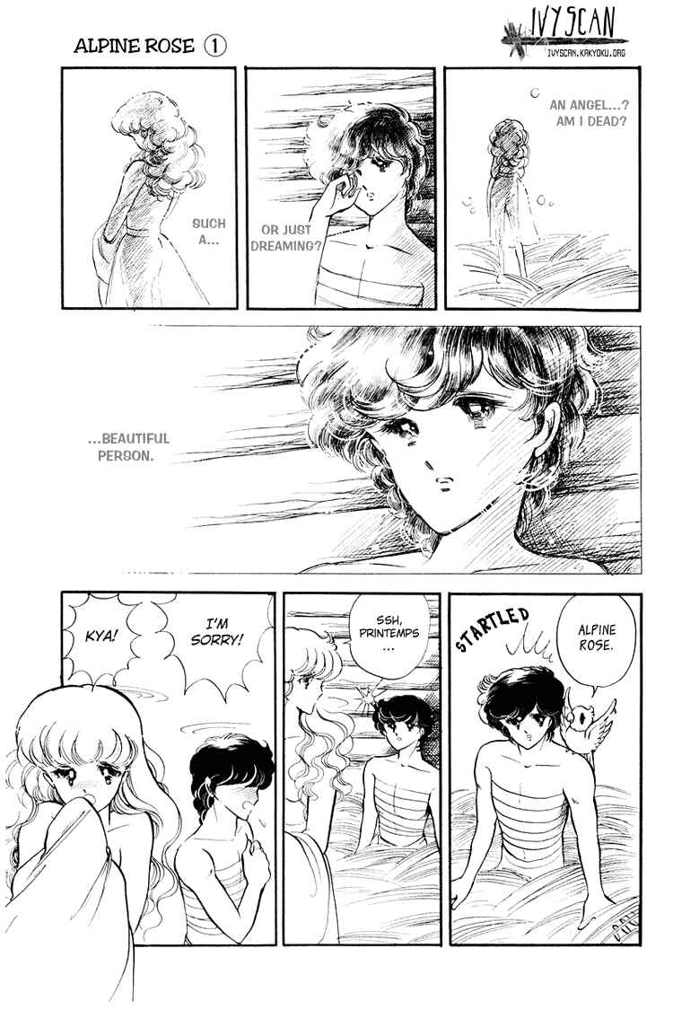 Page 3 Chapter 4 Alpine Rose