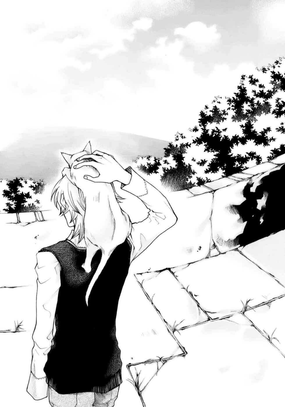 Page 28 Chapter 2 Clear Qualia
