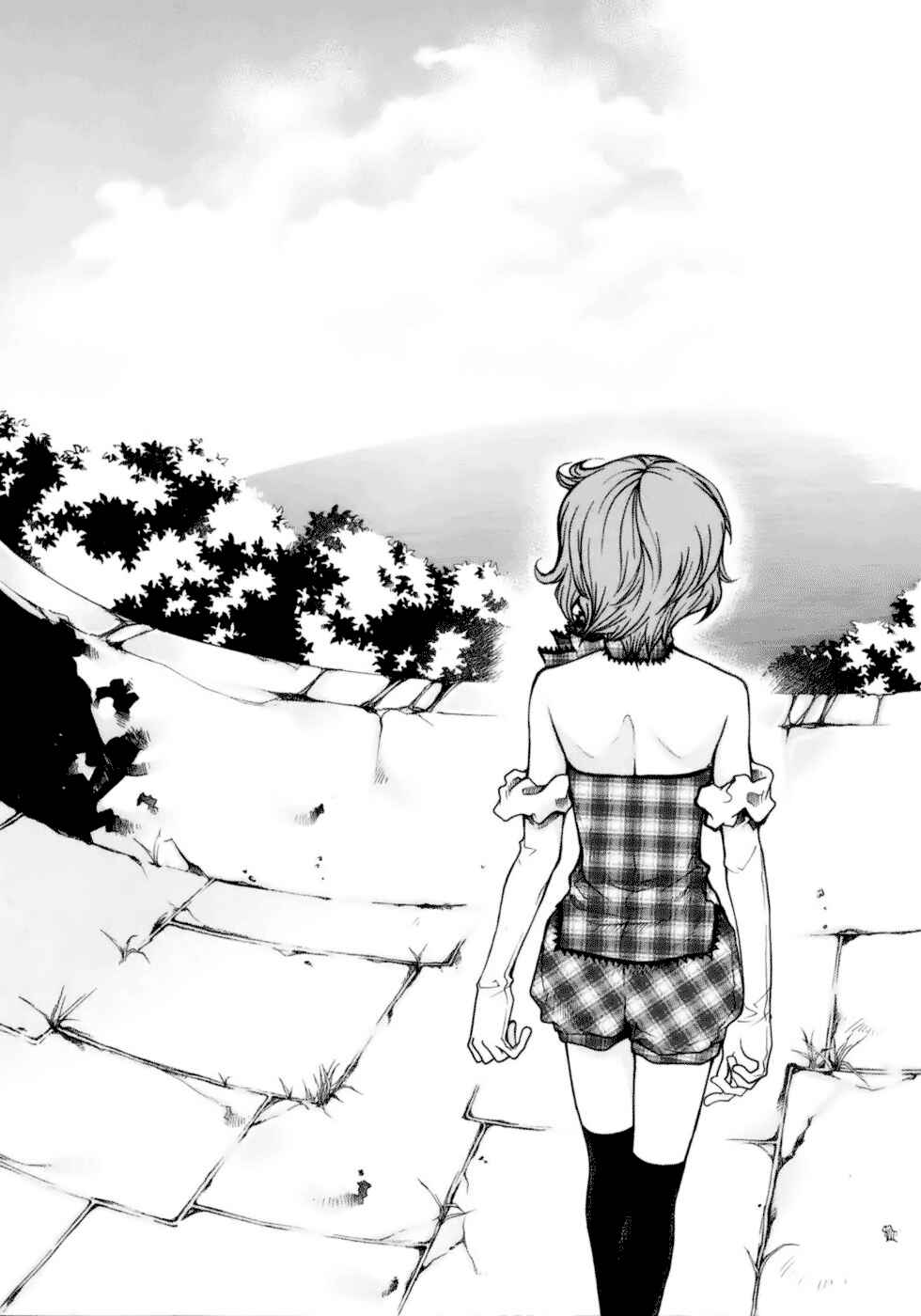 Page 29 Chapter 2 Clear Qualia