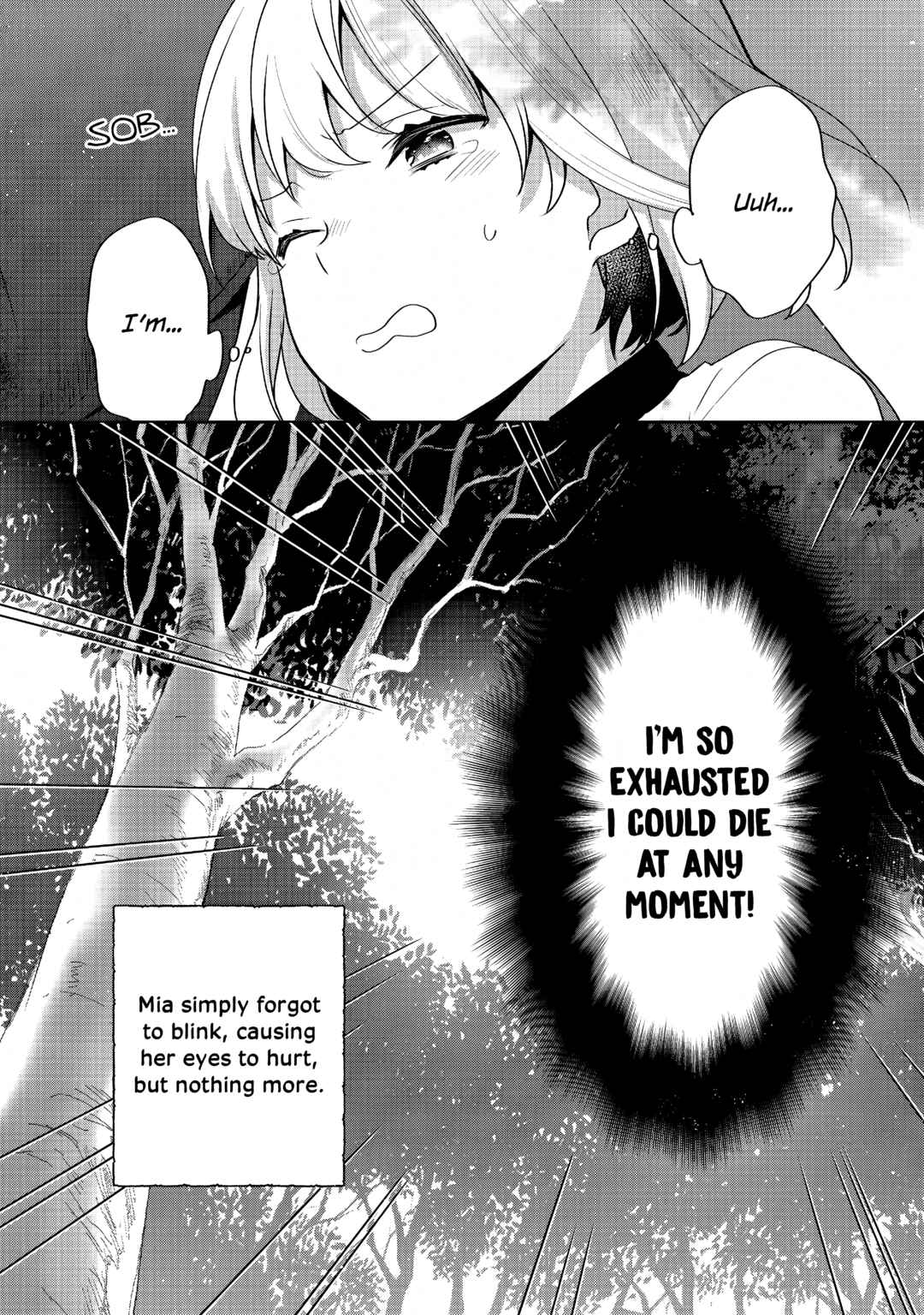 Page 40 Chapter 25 Tearmoon Teikoku Monogatari ~Dantoudai kara Hajimaru, Hime no Tensei Gyakuten Story~