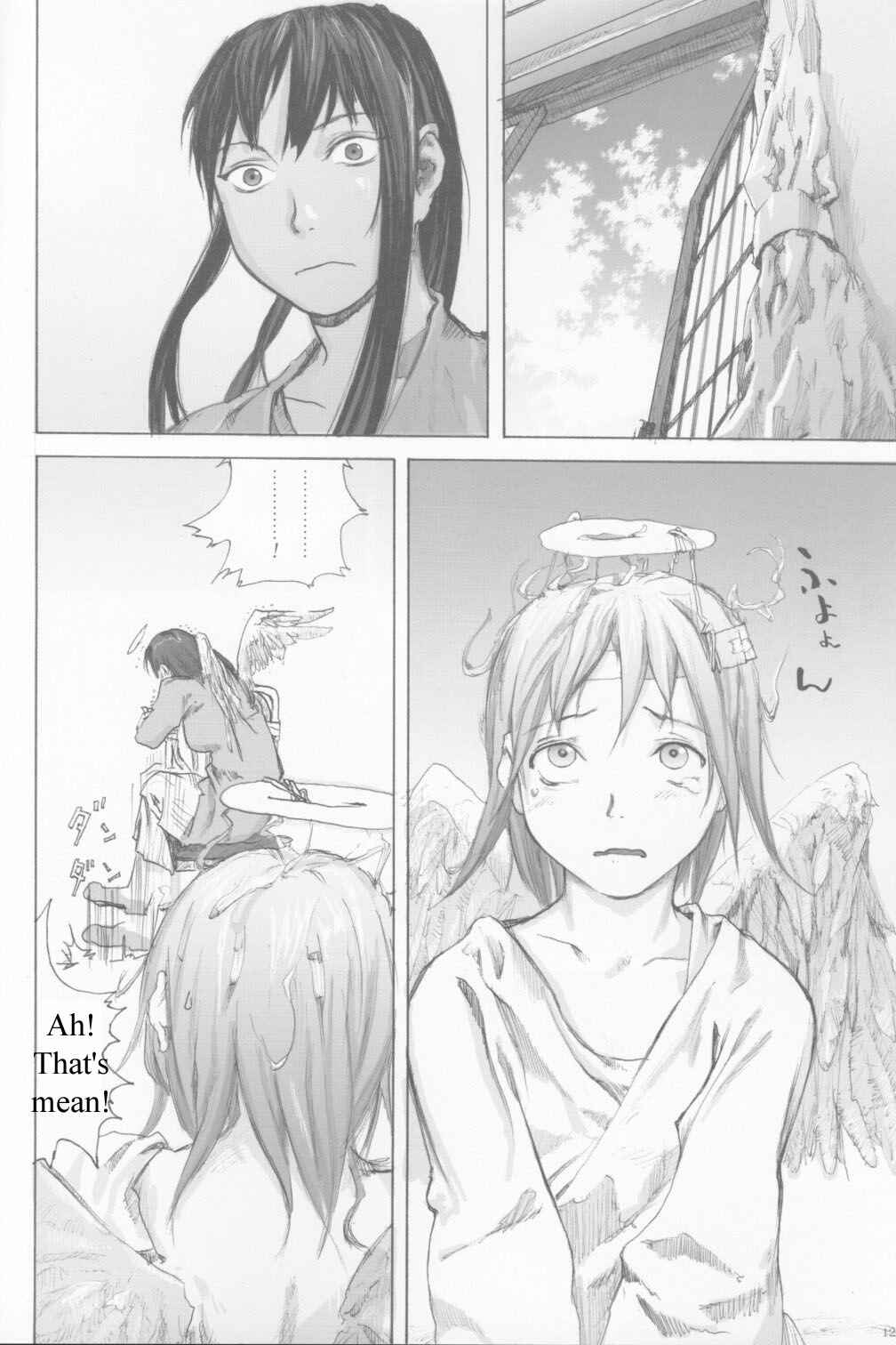 Page 11 Chapter 2 Ailes Grises