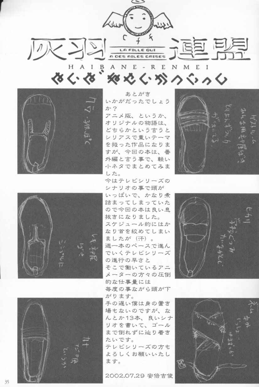 Page 33 Chapter 4 Ailes Grises