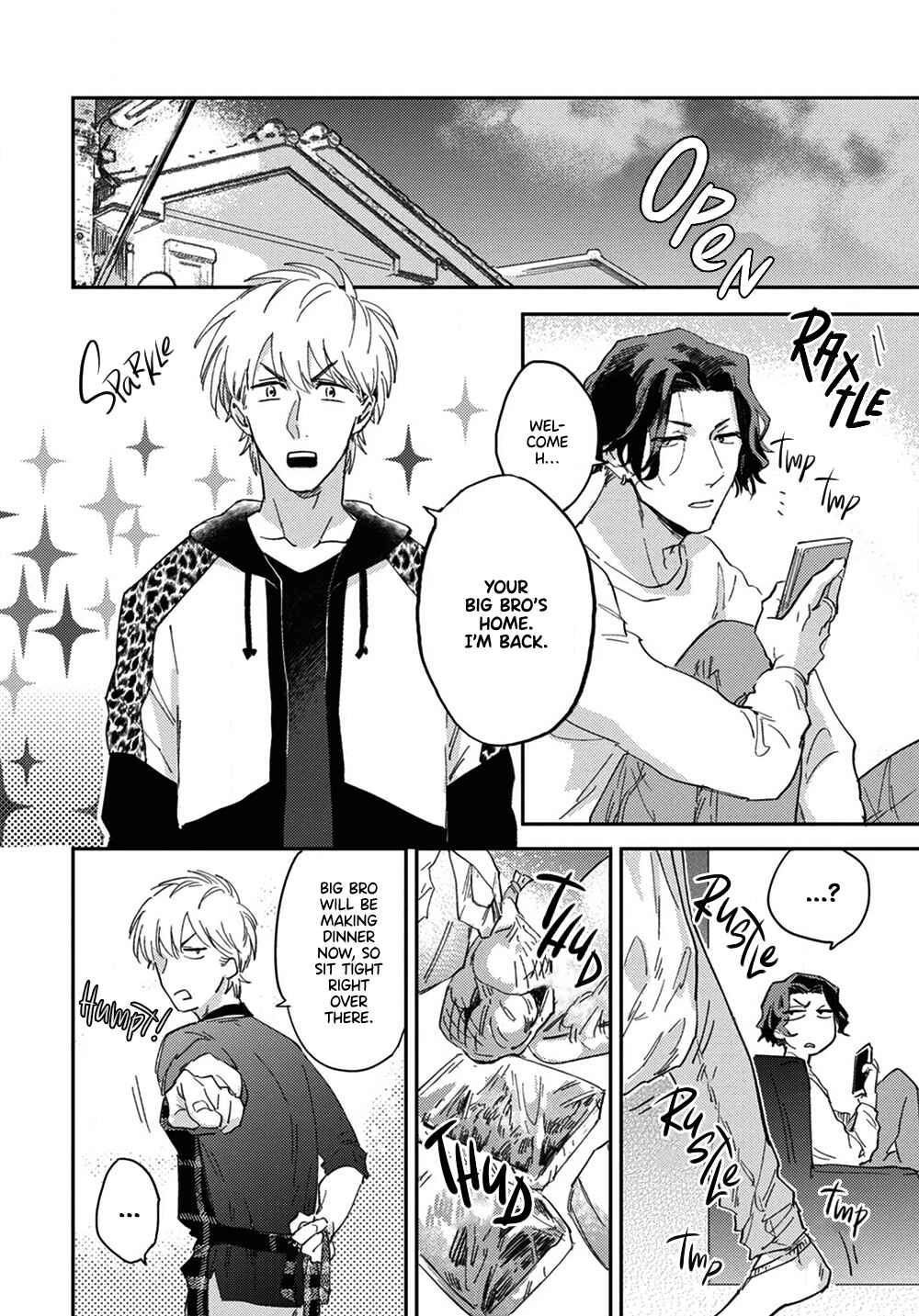 Page 17 Chapter 3 bros.