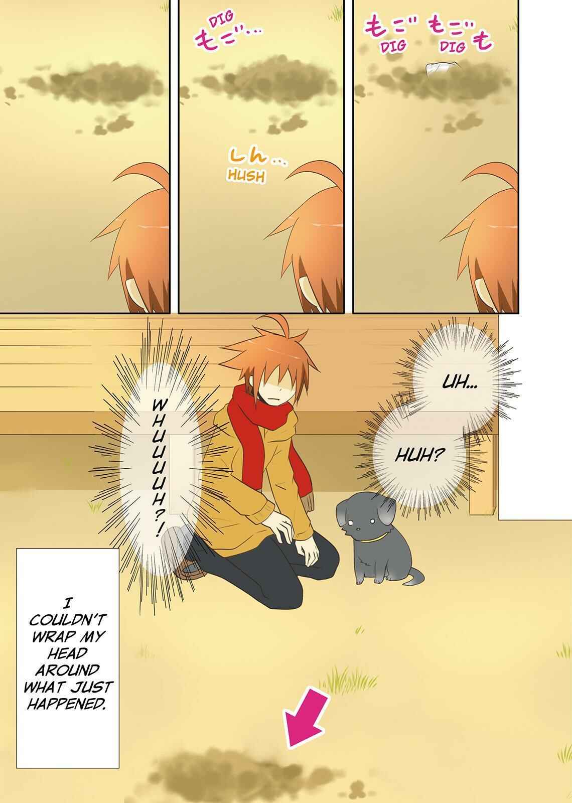 Page 17 Chapter 26 Miira no Kaikata