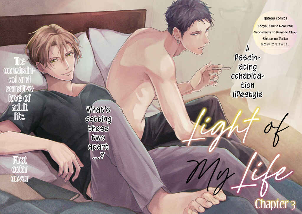 Page 3 Chapter 3 Light of My Life