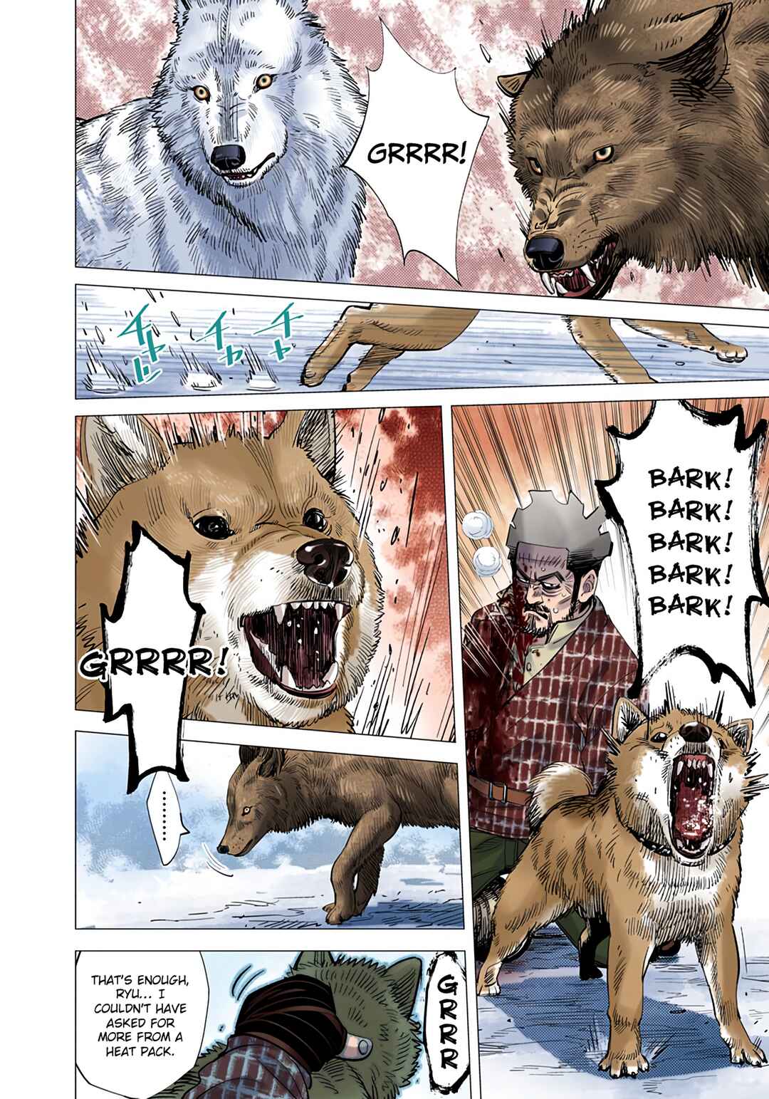 Page 13 Chapter 29 Golden Kamuy (Official Colored)