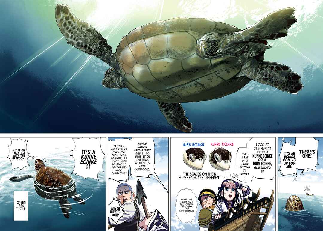 Page 11 Chapter 114 Golden Kamuy (Official Colored)