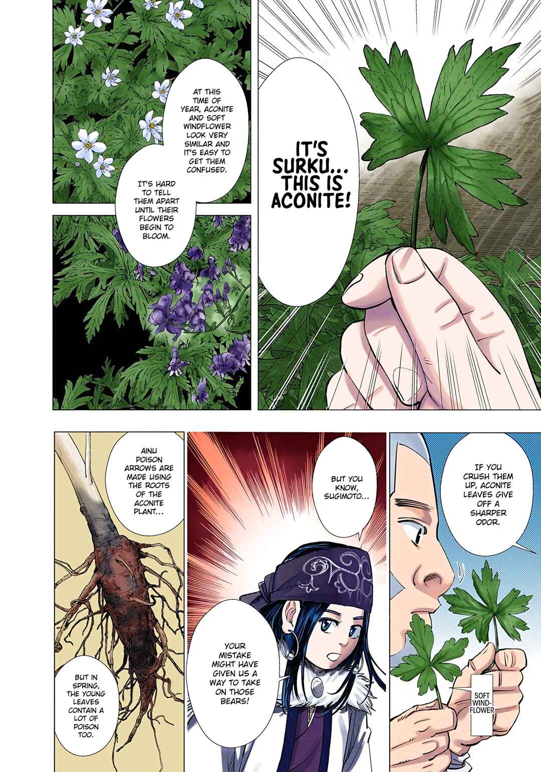 Page 14 Chapter 68 Golden Kamuy (Official Colored)