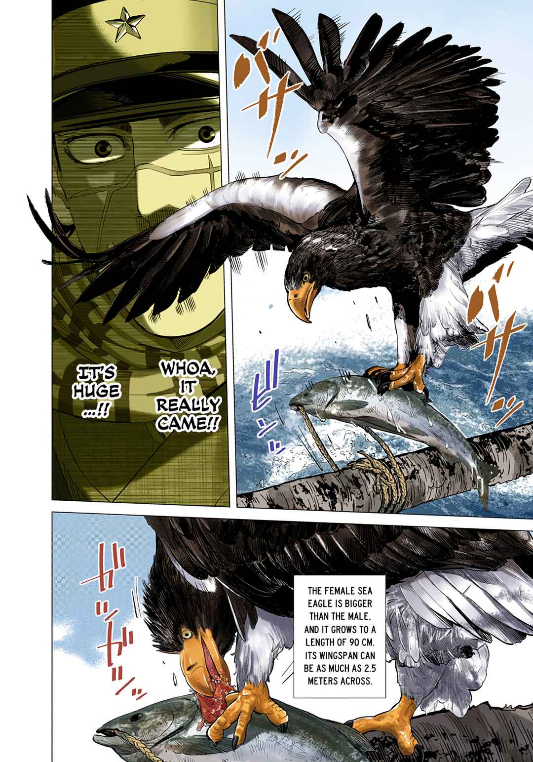 Page 9 Chapter 32 Golden Kamuy (Official Colored)