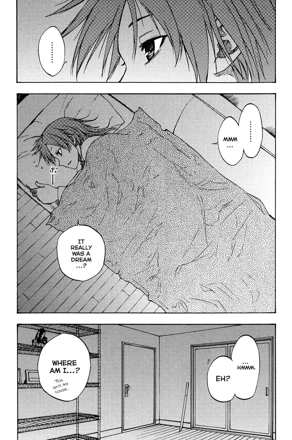 Page 3 Chapter 4 Vermillion