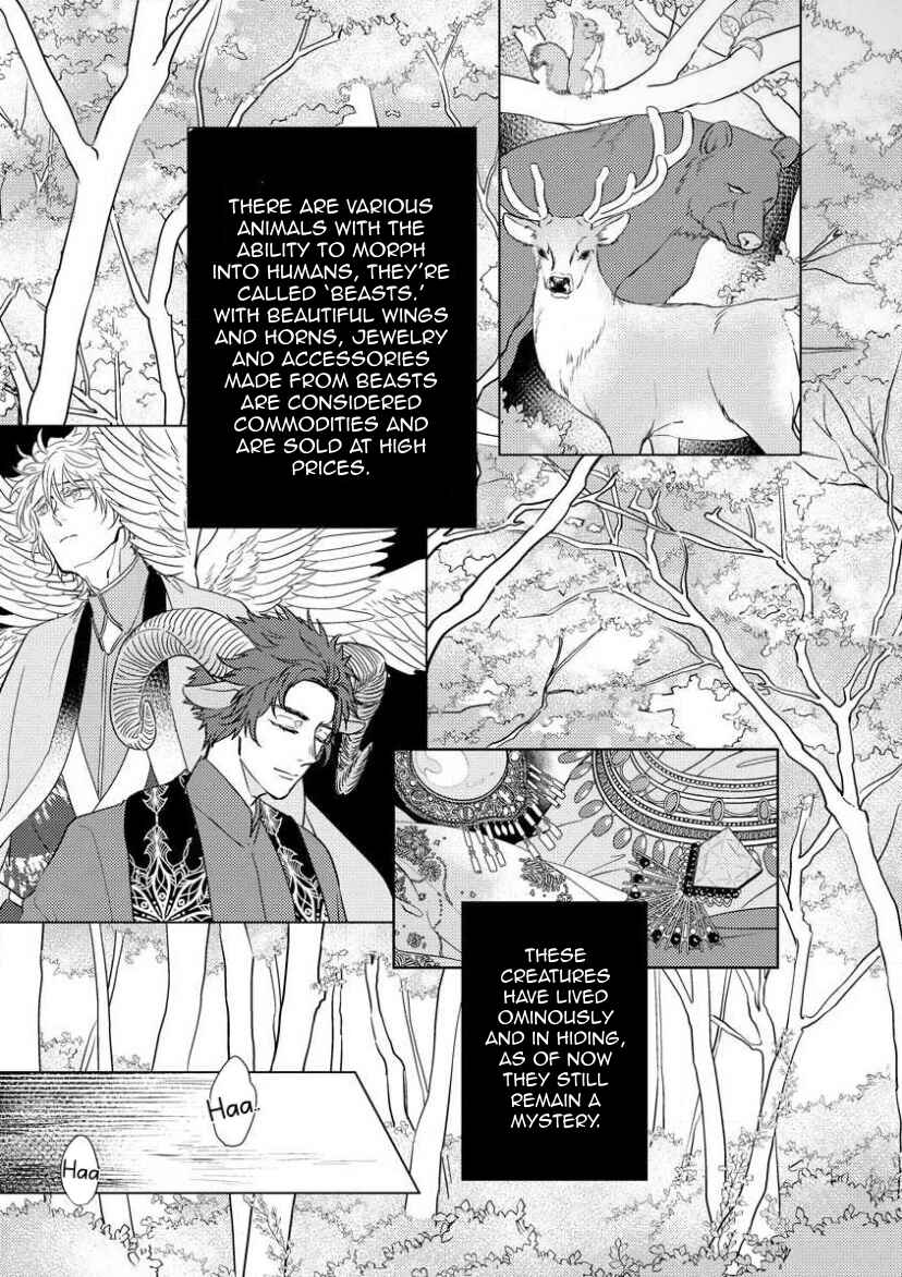 Page 9 Chapter 1 Hakuran no Kemono