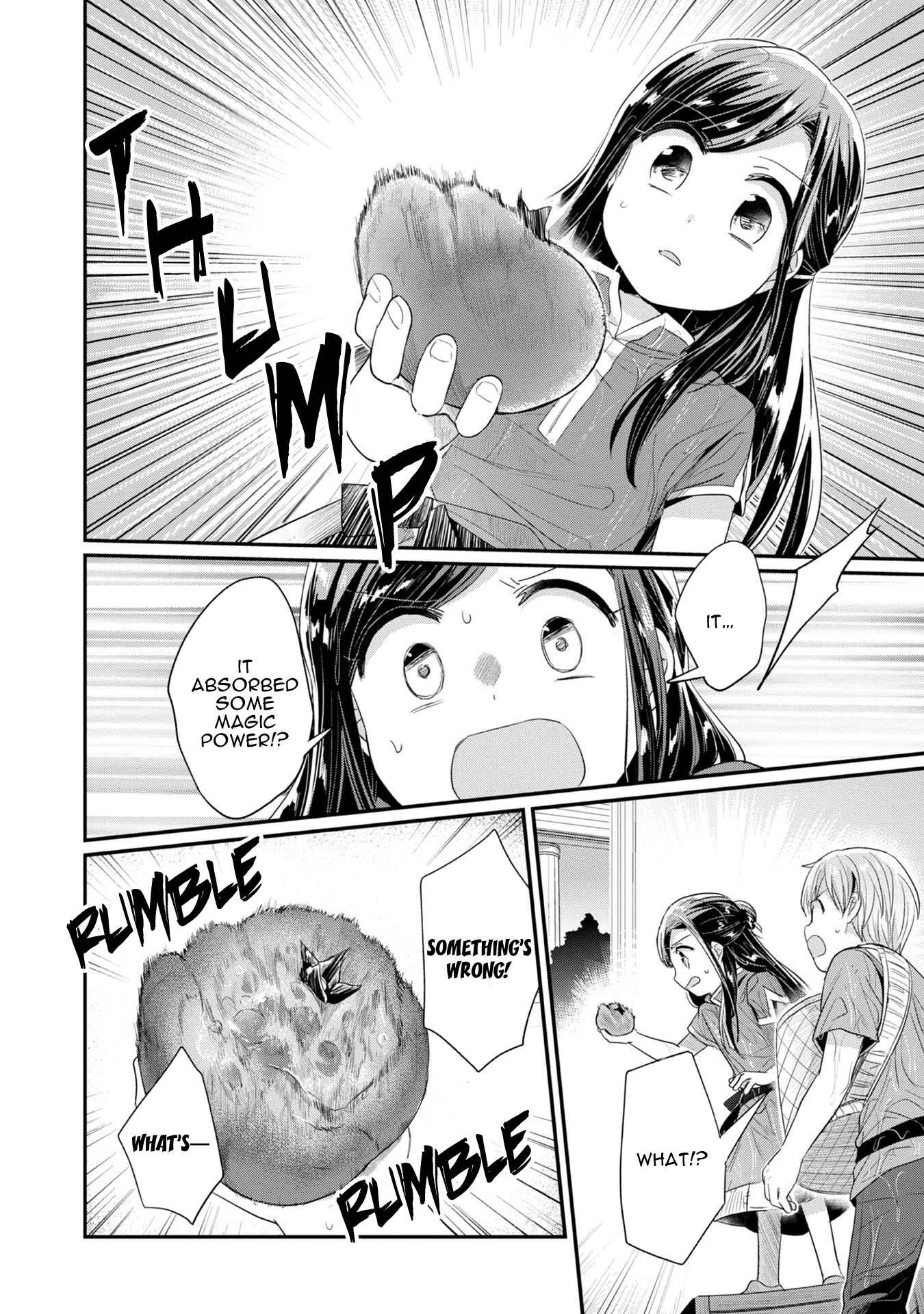 Page 18 Chapter 15 Honzuki no Gekokujou: Shisho ni Naru Tame ni wa Shudan o Erandeiraremasen—Dai 2-bu: Hon no Tamenara Miko ni Naru!