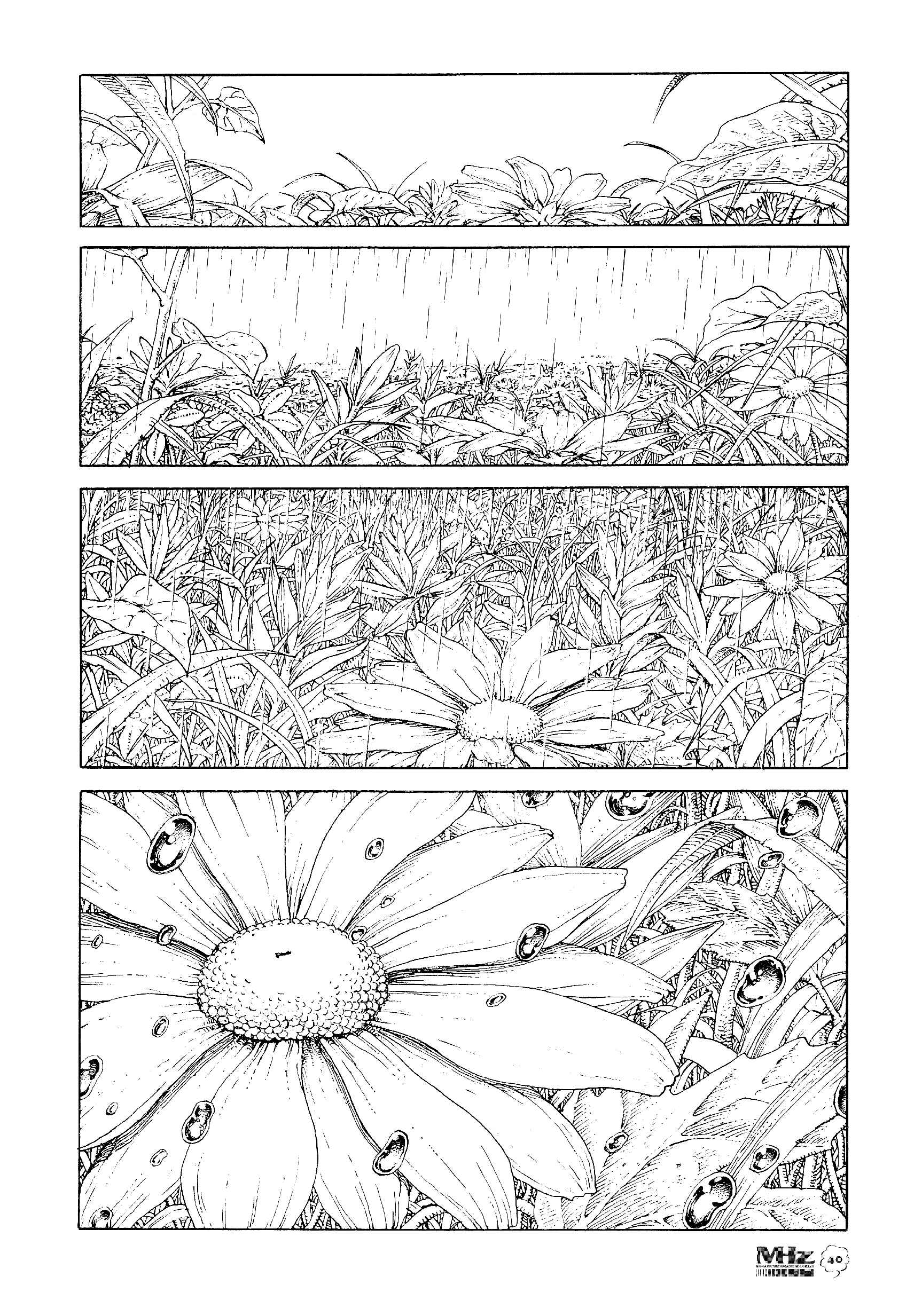 Page 4 Chapter 5 ASTROID