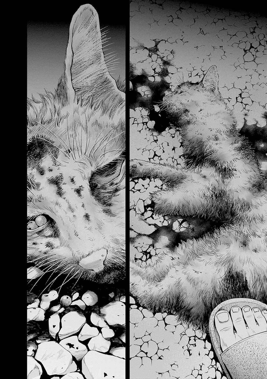 Page 23 Chapter 1 Kokoha Kazoku Gakieru Machi