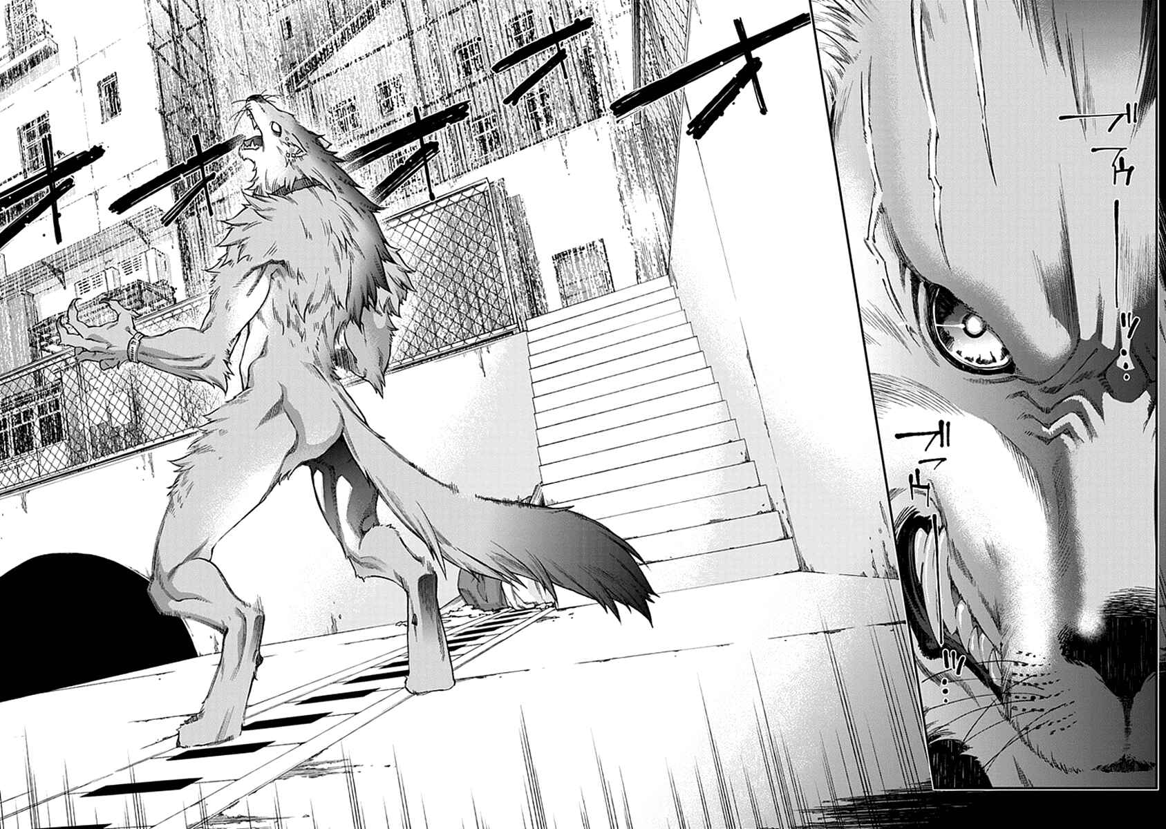 Page 16 Chapter 3 Croa Chimera