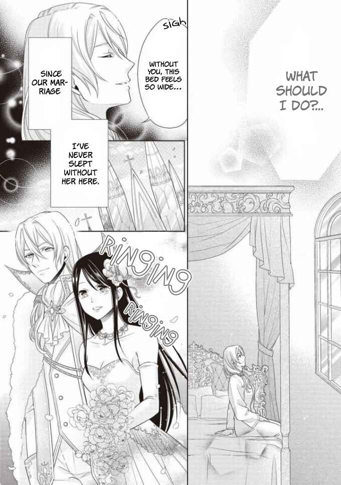 Page 9 Chapter 2 Ouhi-sama wa Toubouchuu