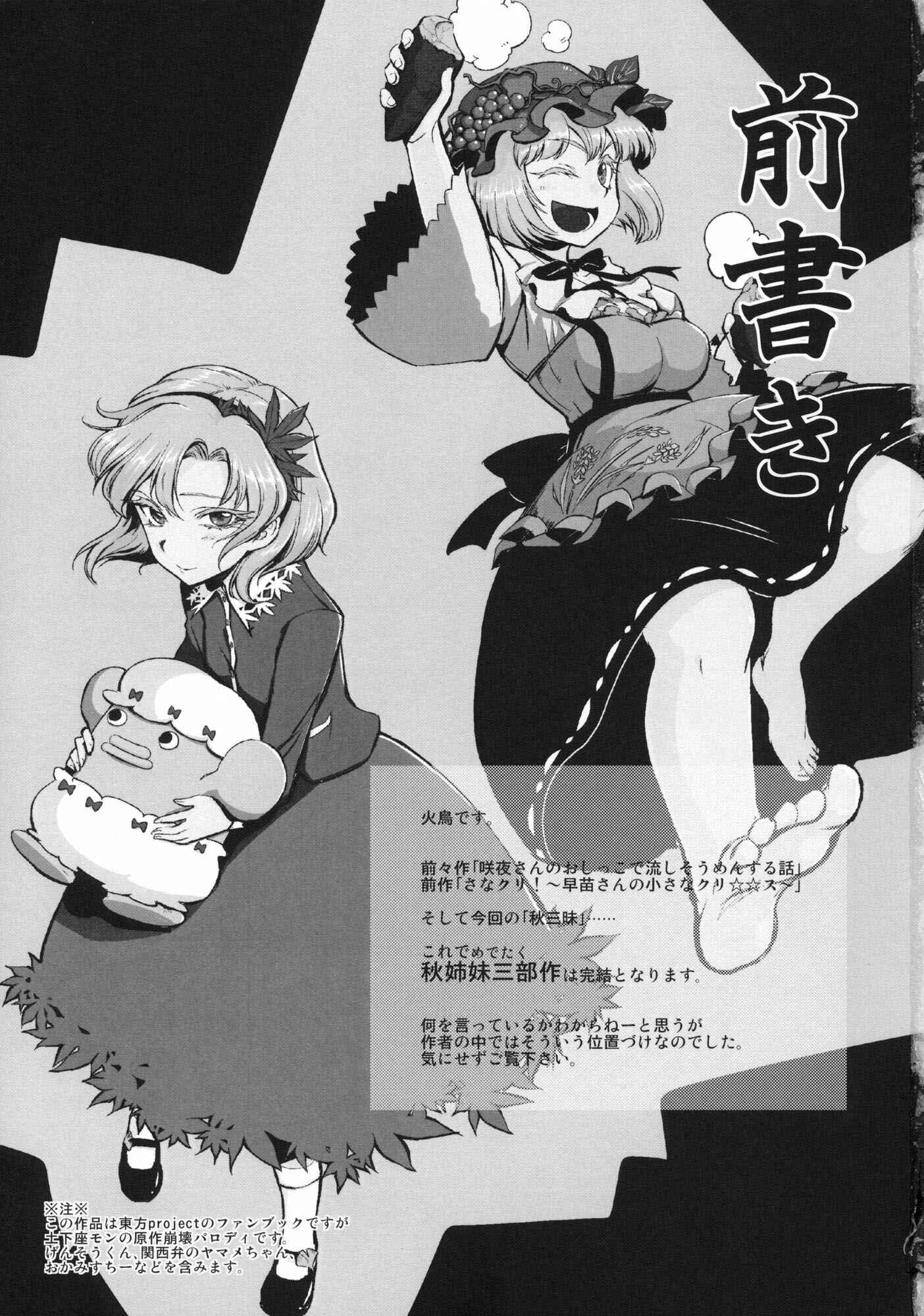 Page 3 Chapter Unknown_93b5 Touhou - Autumn Samādhi (Doujinshi)