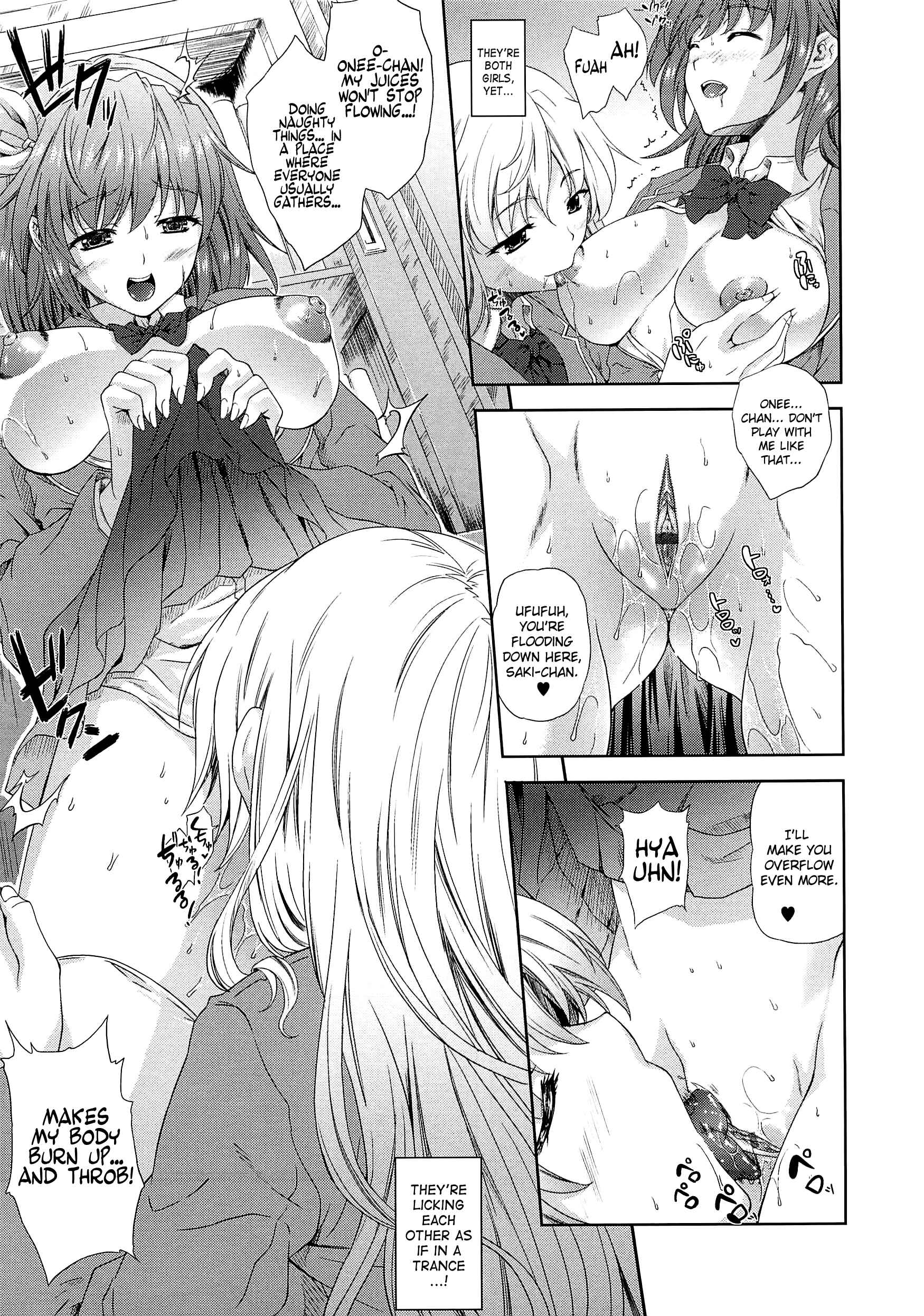 Page 13 Chapter 1 Aneman