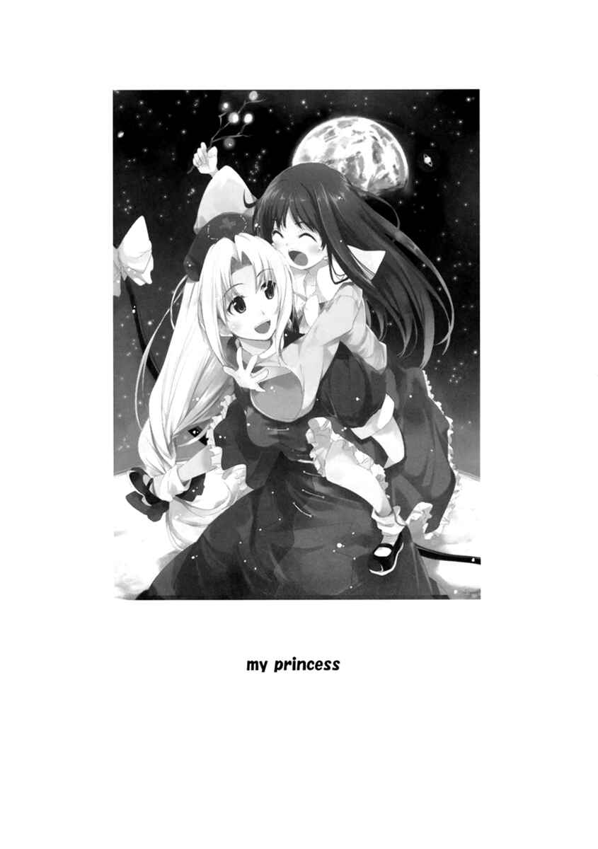 Page 4 Chapter Unknown_d13e Touhou - My Princess (Doujinshi)
