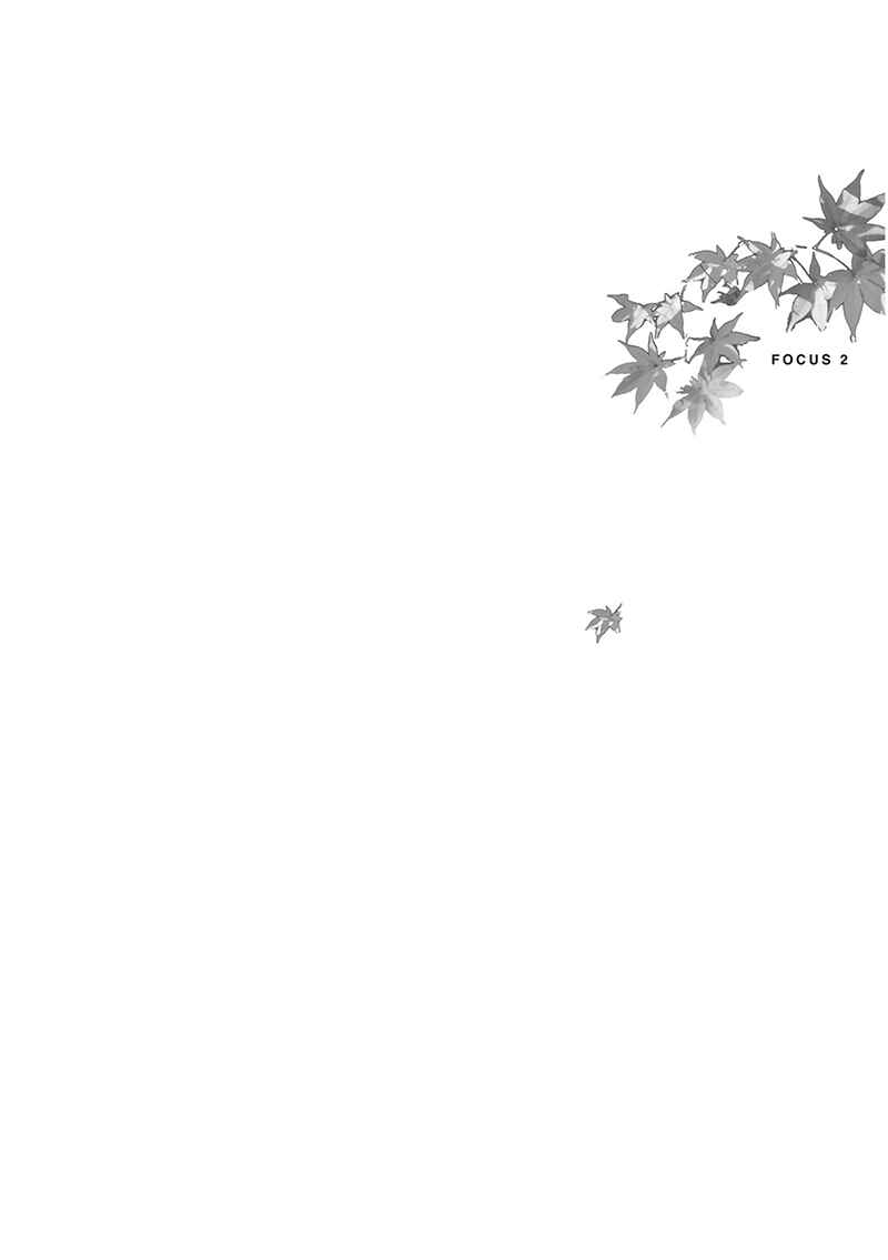 Page 43 Chapter 7 Focus