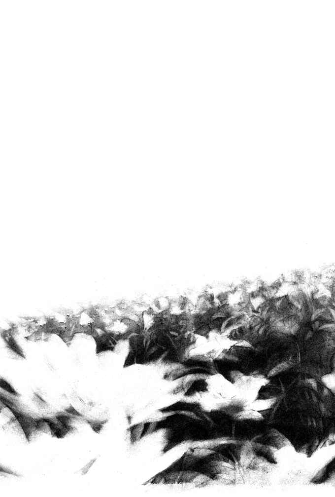 Page 17 Chapter 71 Give My Regards to Black Jack